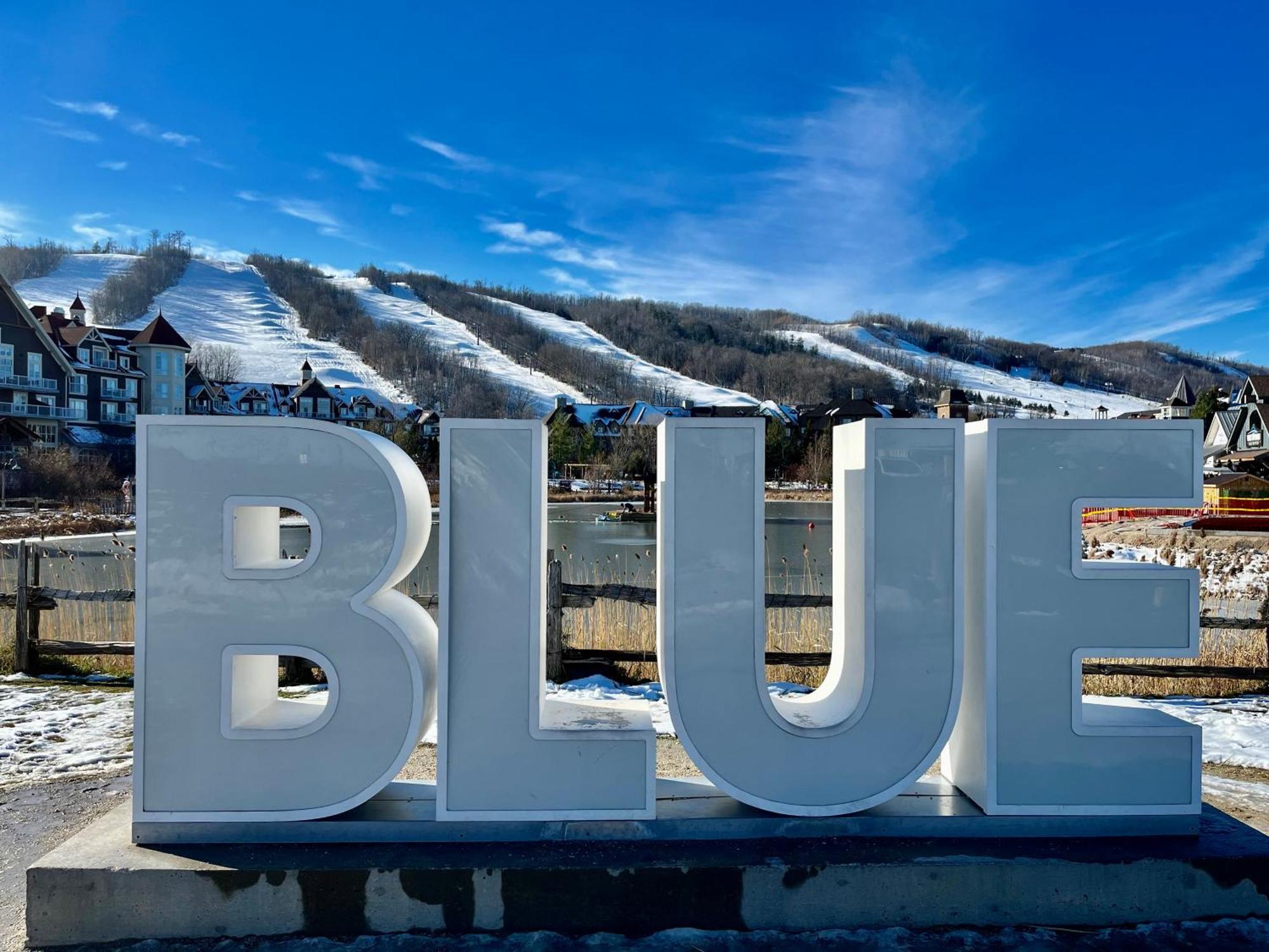 Blue Mountain Studio Oasis Blue Mountains Exterior foto